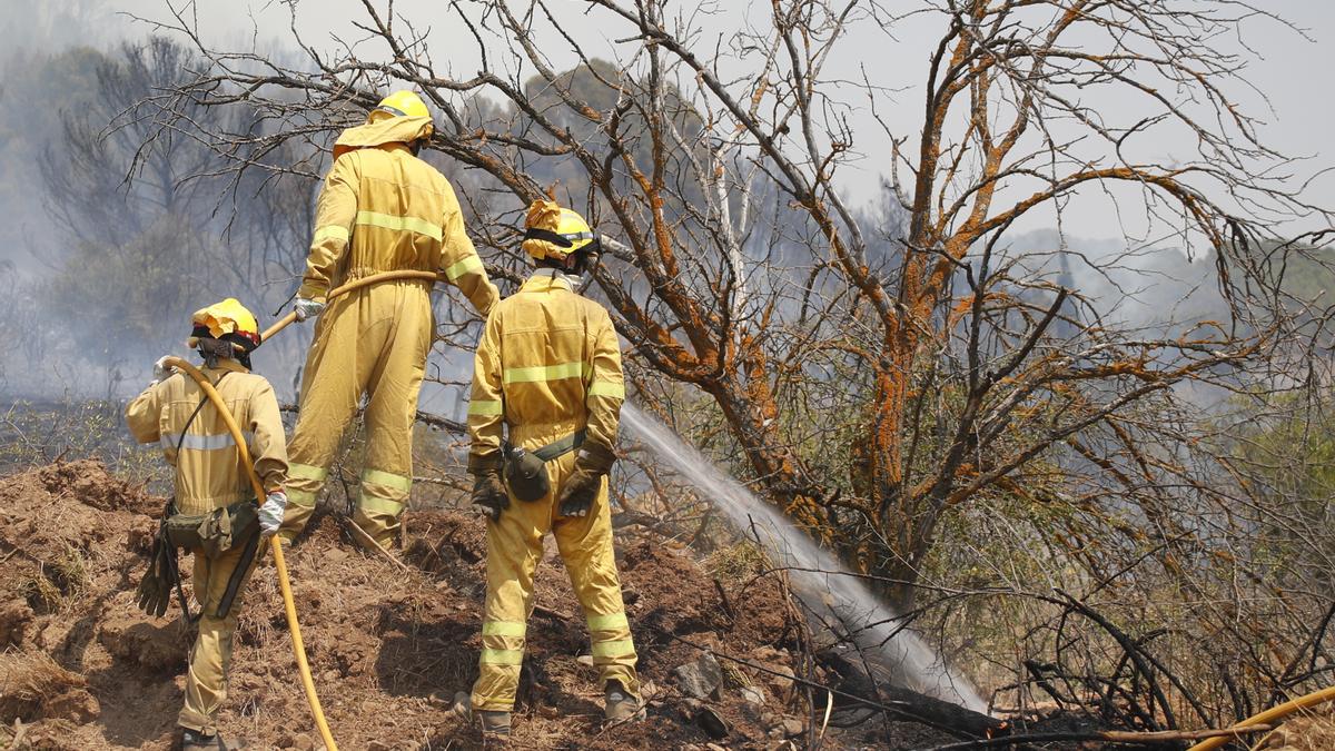 Bomberos forestales combatiendo las llamas en la comarca de Calatayud esta semana.