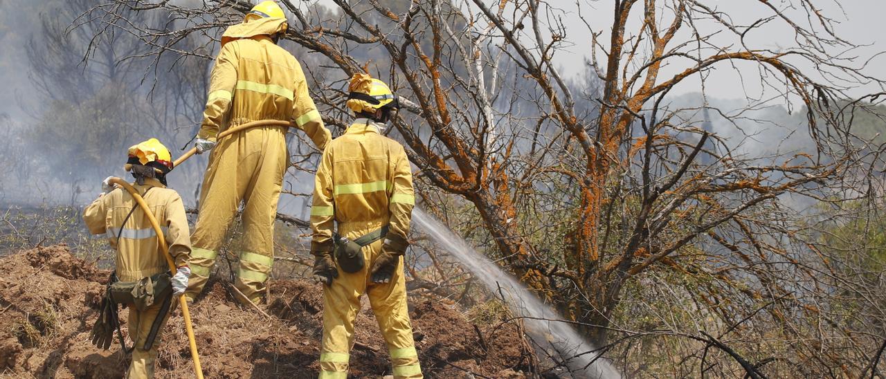 Bomberos forestales combatiendo las llamas en la comarca de Calatayud esta semana.