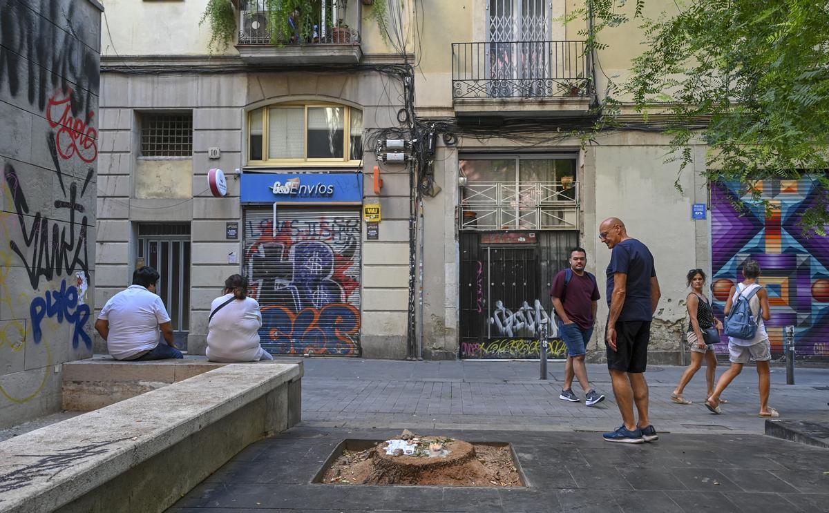 La plaza Emili Vendrell del Raval, sin altar ni palmera, dos semanas después de la muerte de Shamira