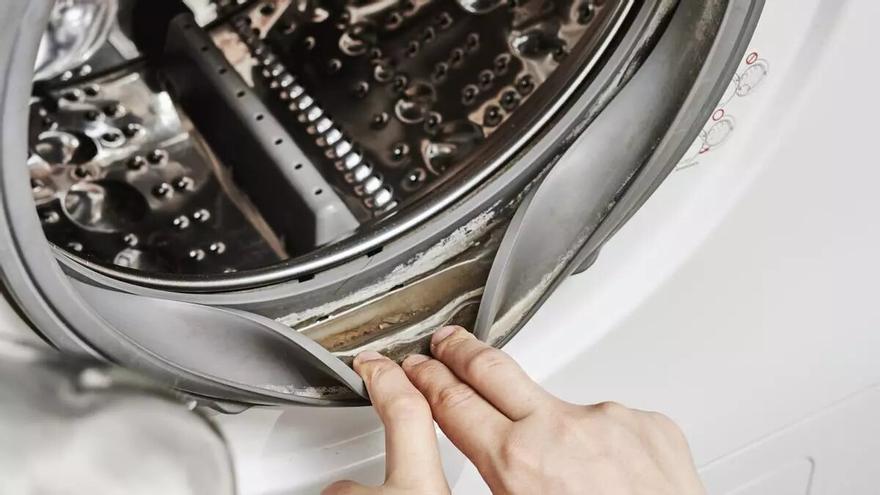 Elimina el moho de la goma de la lavadora con este sencillo truco