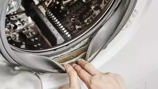 Elimina el moho de la goma de la lavadora con este sencillo truco