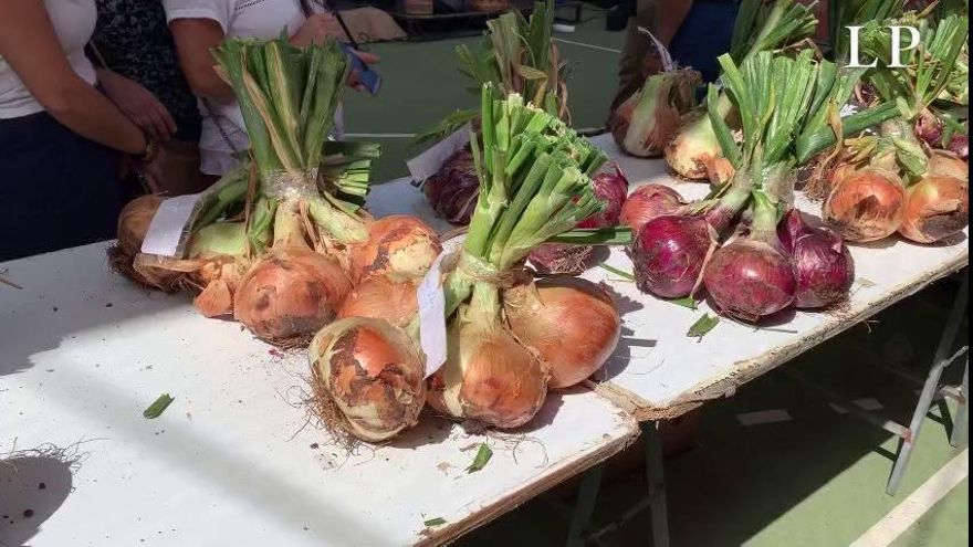 Fiesta de la Cebolla en Gáldar