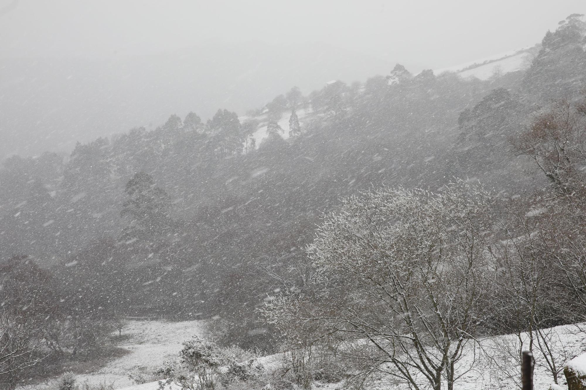 En imágenes: La borrasca Juliette llena de nieve parte de la zona rural de Gijón