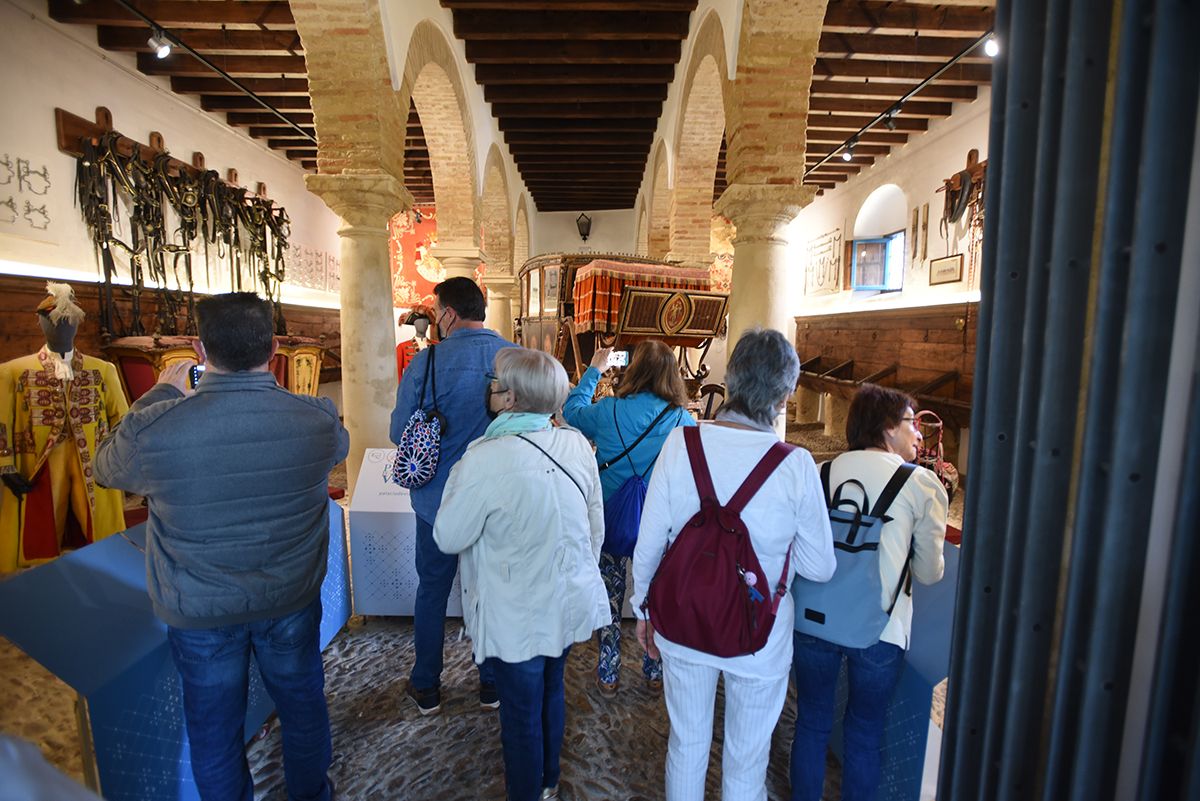 Jornada de puertas abiertas en los patios del Palacio de Viana