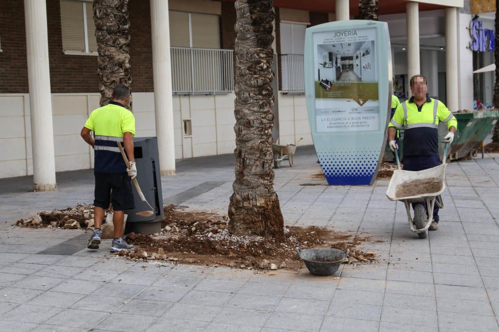 El Ayuntamiento mejora la accesibilidad