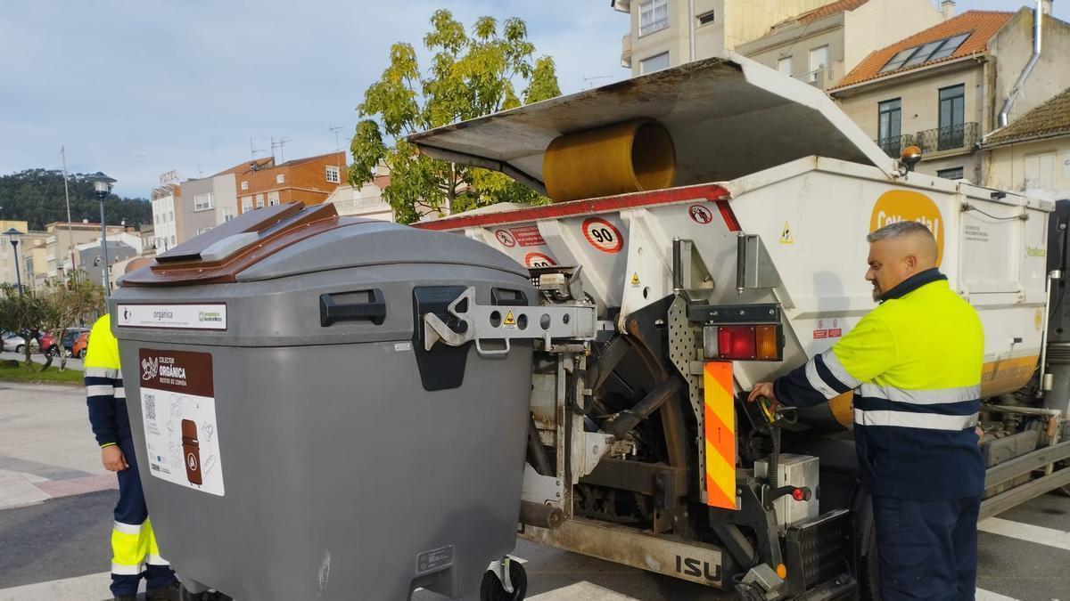 Recogida del contenedor marrón de la basura en O Morrazo.