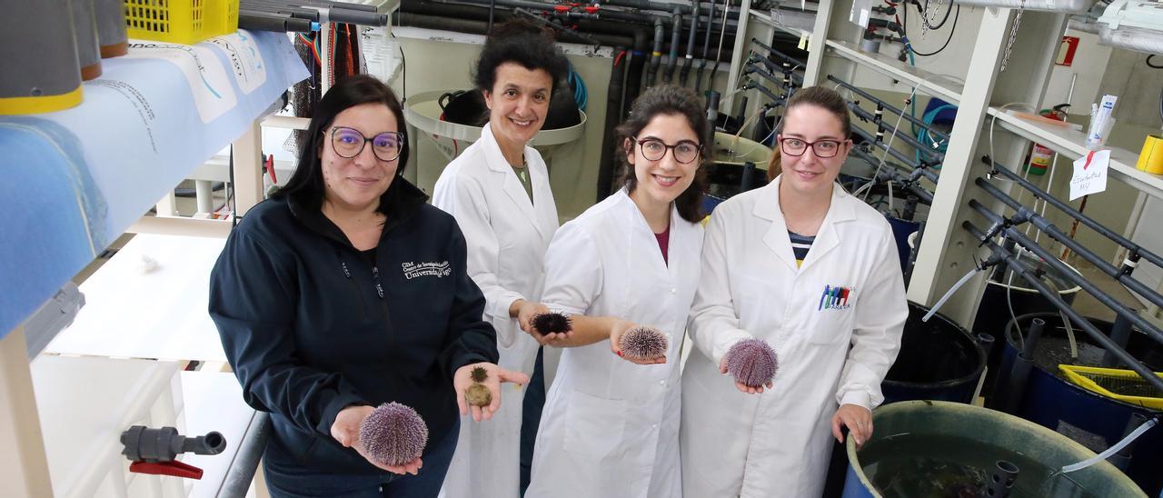 Estefanía Paredes, Sira Pereira, Marina Parrondo y Sara Campos, en la Ecimat de Toralla.