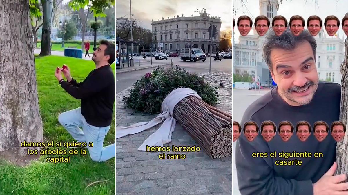 Greenpeace felicita a Almeida y le regala un ramo de boda gigante hecho con ramas de árboles talados en Madrid