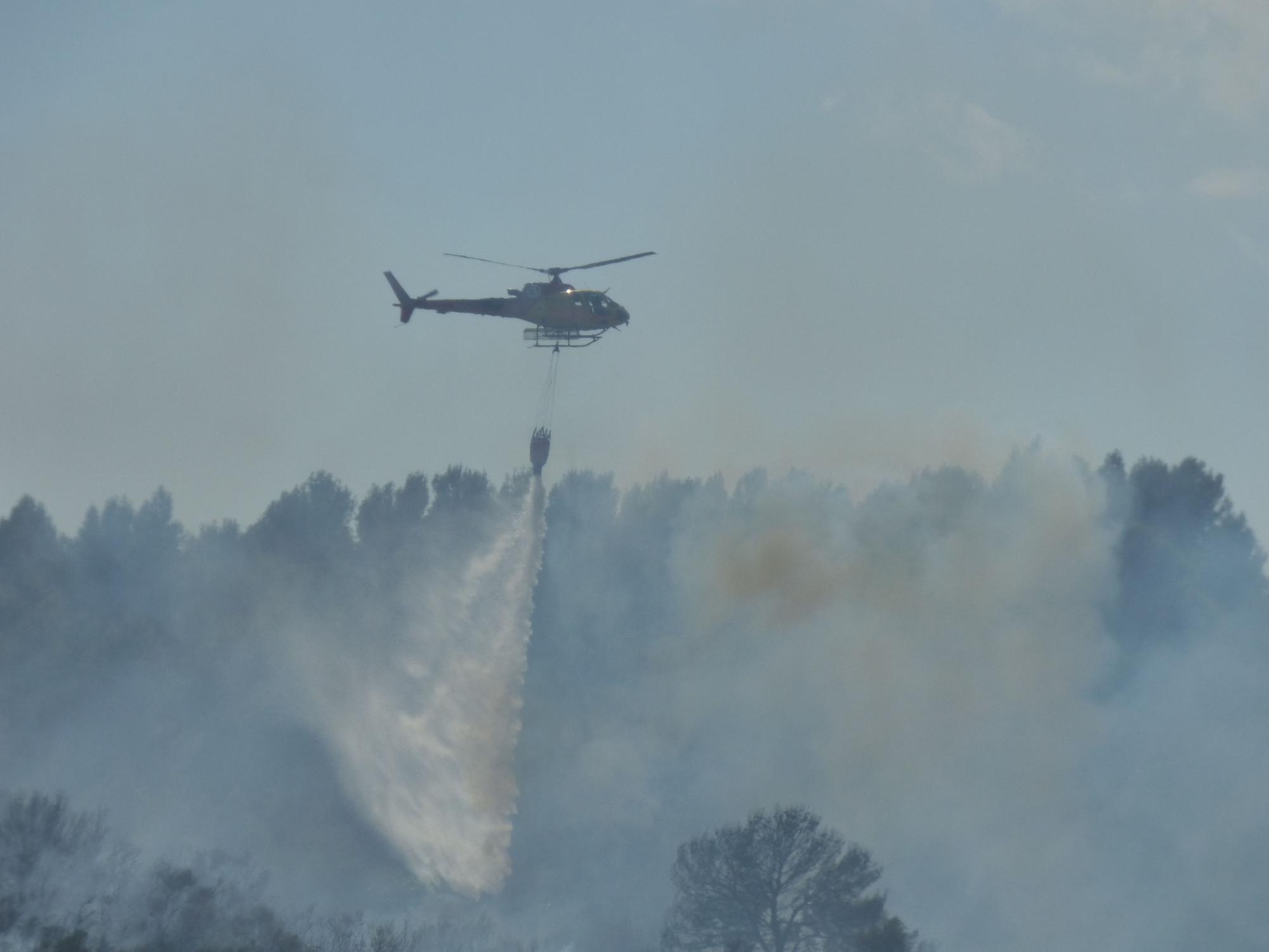 Un incendi ha cremat 3,5 hectàrees al costat de l'Ap7 a Vilafant