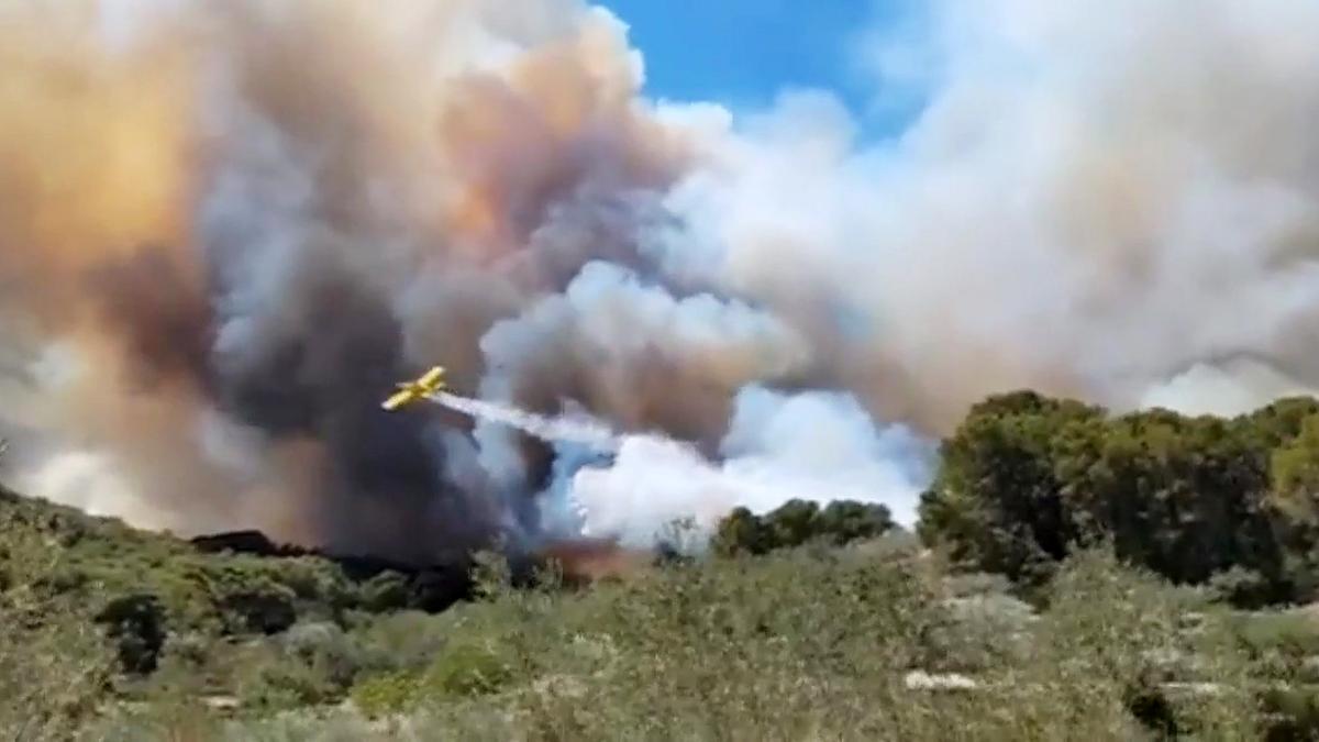 Un incendio forestal en El Perelló (Tarragona) obliga a confinar tres urbanizaciones