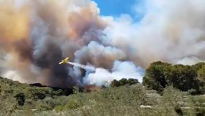 Un incendio forestal en El Perelló (Tarragona) obliga a confinar tres urbanizaciones