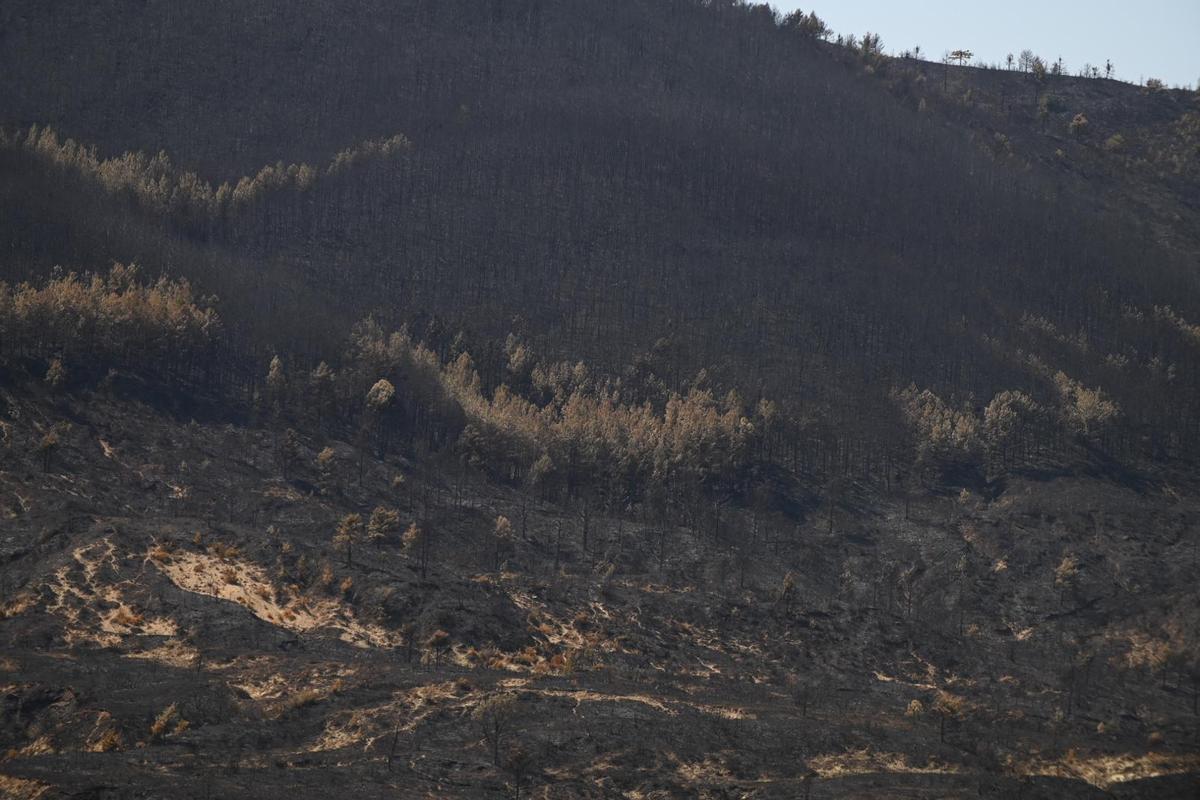 En imágenes | Vecinos de varios municipios vuelven a sus casas tras ser evacuados por el incendio de La Peña En imágenes | Vecinos de varios municipios vuelven a sus casas tras ser evacuados por el incendio de La Peña