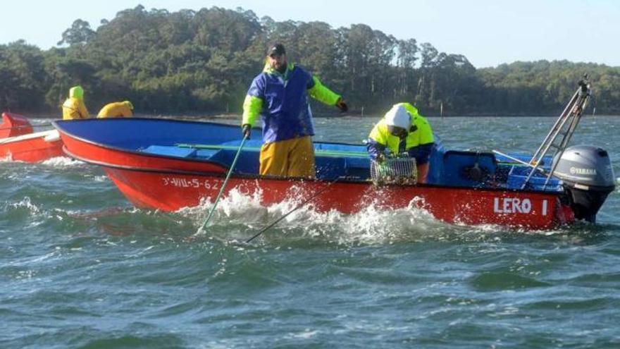 Participantes en la campaña de libre marisqueo en Os Lombos do Ulla. // Noé Parga