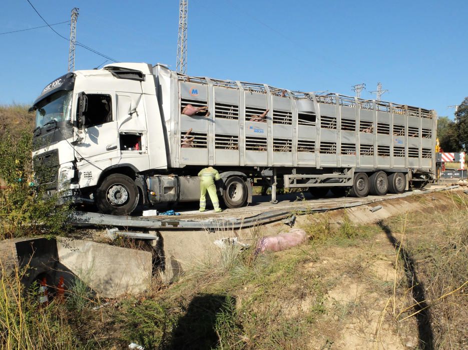 Bolca un camió carregat de porcs a Bàscara