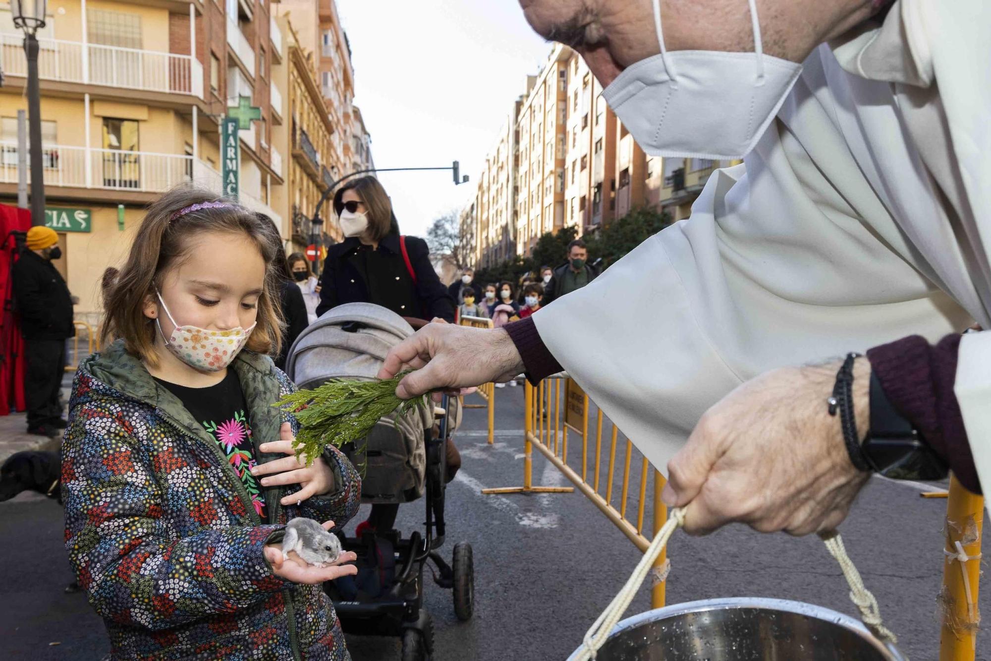 Búscate en la bendición de animales de Sant Antoni