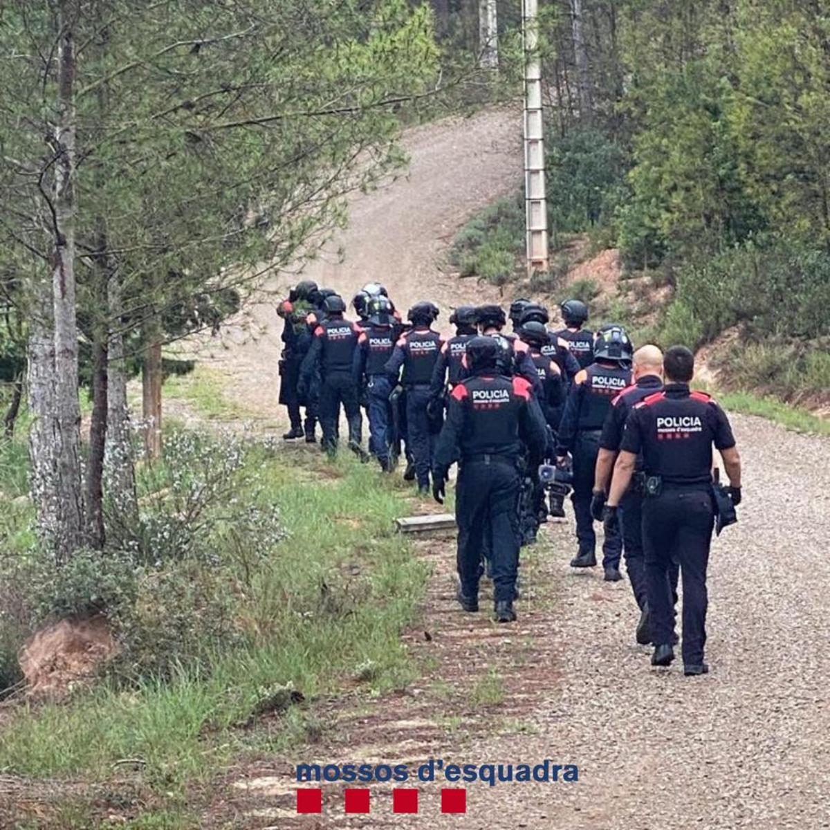 Agents dels Mossos d'Esquadra durant l'operació policial