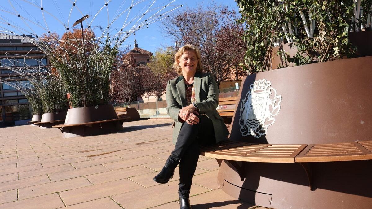 El viernes 29 de agosto abre el periodo de licitación para las papeleras Greenfresh, en Alcalá de Henares