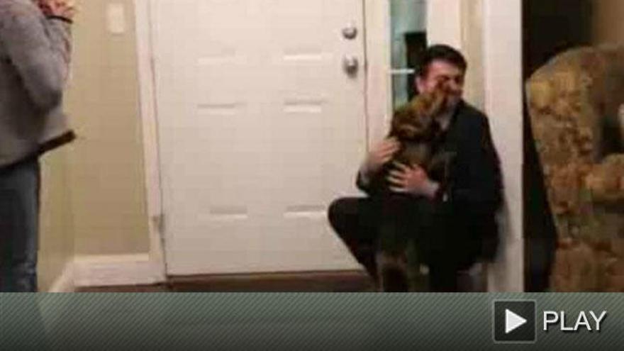 Emotivo recibimiento de un perro a su dueño tras dos años sin verle