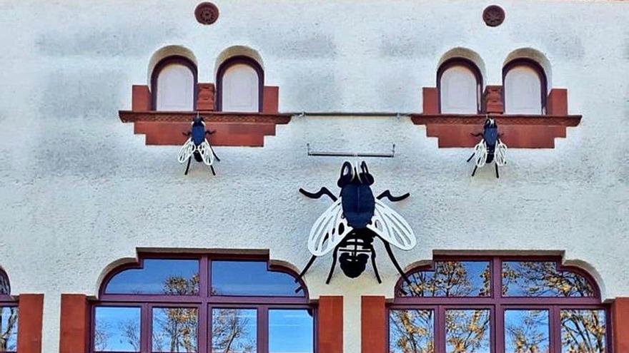 Les mosques omplen la façana del centre cívic Sant Narcís