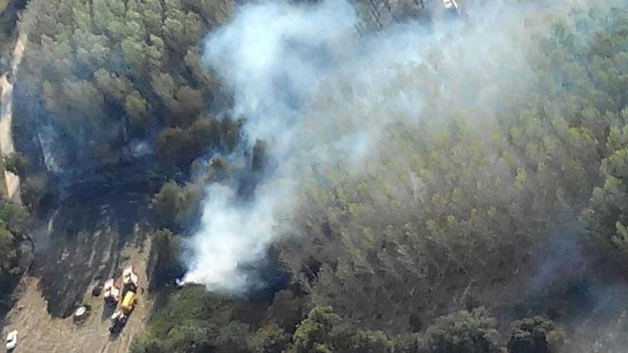 Els Bombers controlen un incendi de pollancres entre Sils i Maçanet