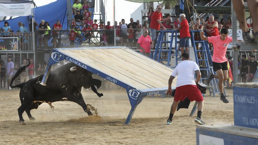 Los mejores momentos de la tarde de vacas y toros en las fiestas del Port de Sagunt
