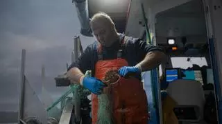 A la despensa del Noroeste le faltan mano de obra y materia prima
