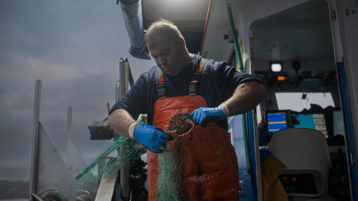 Un hombre trabaja en la pesca de centollo, a 7 de noviembre de 2024, en Pontevedra, Galicia (España).