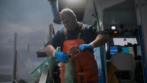 Un hombre trabaja en la pesca de centollo, a 7 de noviembre de 2024, en Pontevedra, Galicia (España).