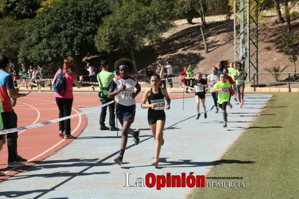 Final Cross Escolar de Lorca. Alevín femenino