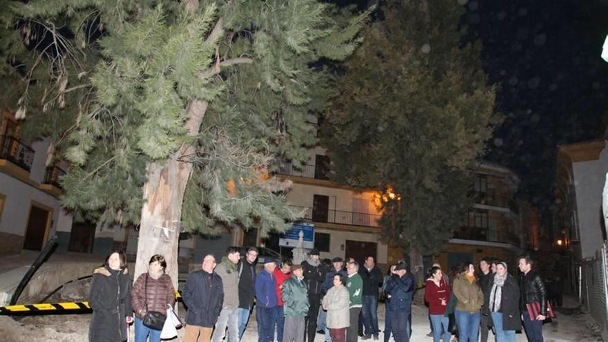 Protesta contra la tala de dos pinos