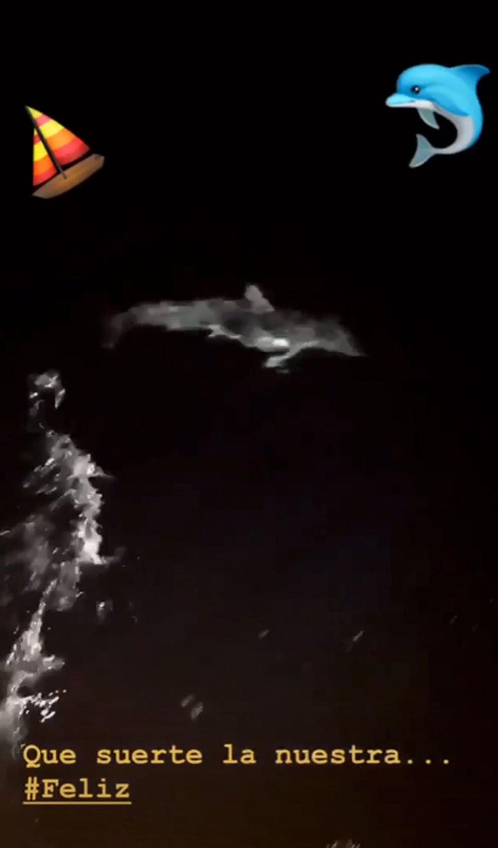 Miguel Ángel Muñoz ve delfines en sus prácticas.