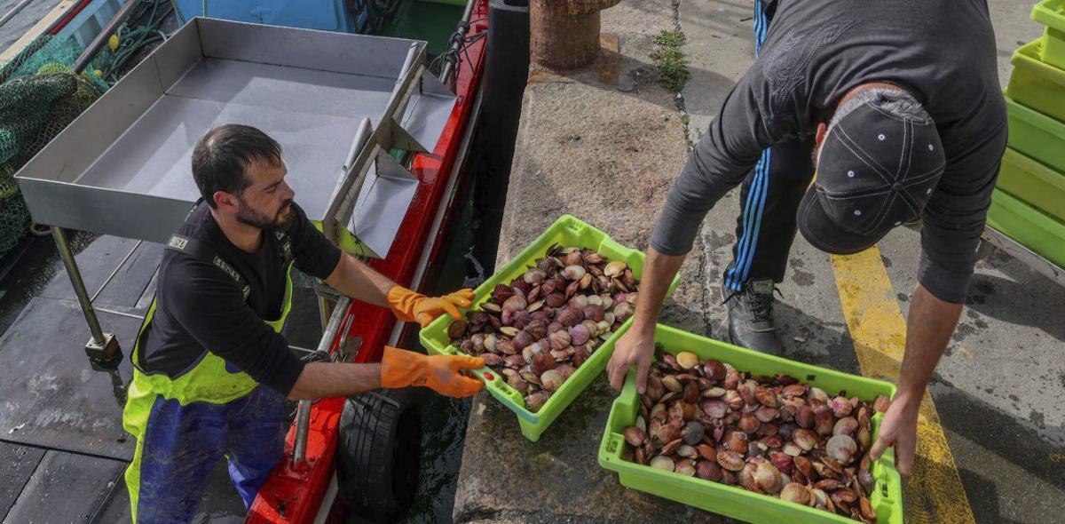 Descarga de
volandeira
en Cambados. |  Iñaki Abella