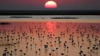 El Mar Menor y Doñana bañan Bruselas