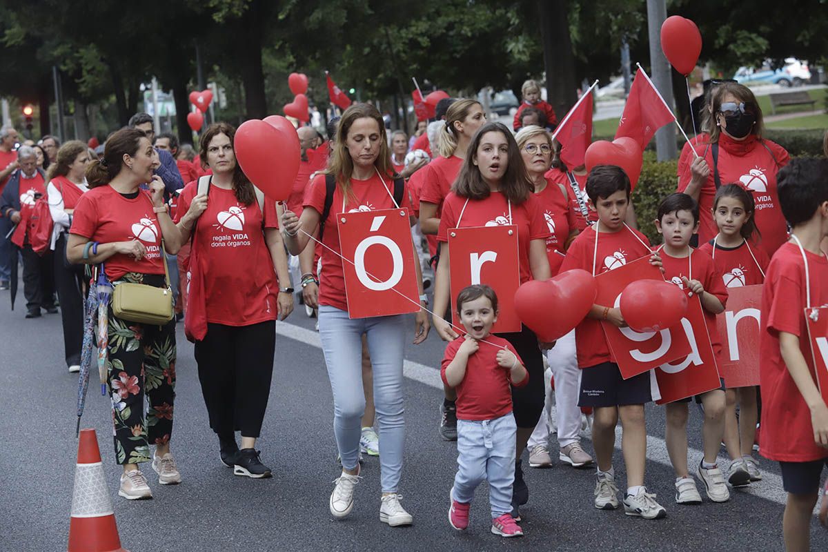 La marcha de la donación, en imágenes