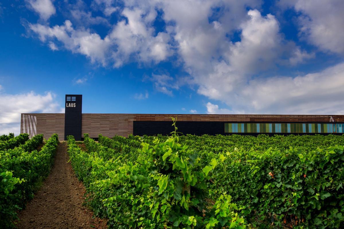 La bodega Laus, hermana pequeña de Enate en Somontano