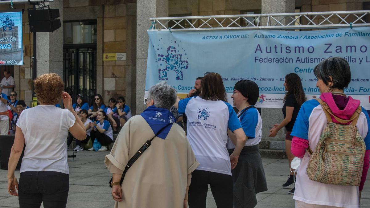 Zamora. Marcha autismo