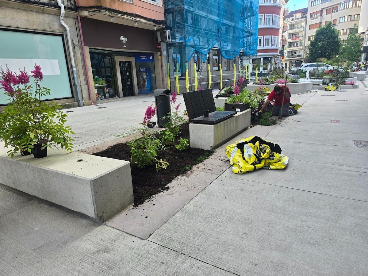 Los operarios municipales se encargan esta mañana de recuperar los deteriorados jardines de la peatonalizada calle de Arzobispo Lago, en Vilagarcía.