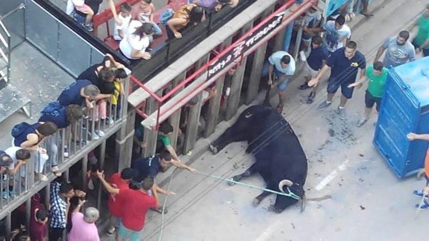Serralvo descarta consultas sobre los toros y aplaude la organización de los festejos pese al menor herido