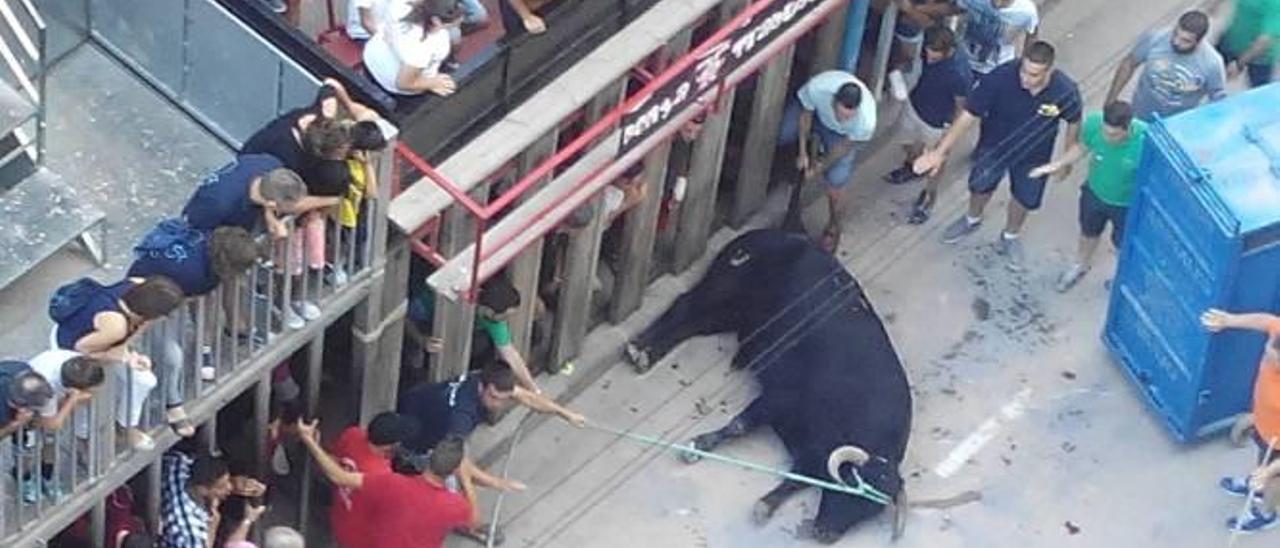 Serralvo descarta consultas sobre los toros y aplaude la organización de los festejos pese al menor herido