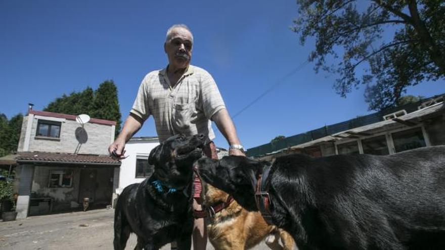 Entramos en la finca de Siero en la que perdió la vida un hombre tras el ataque de seis perros