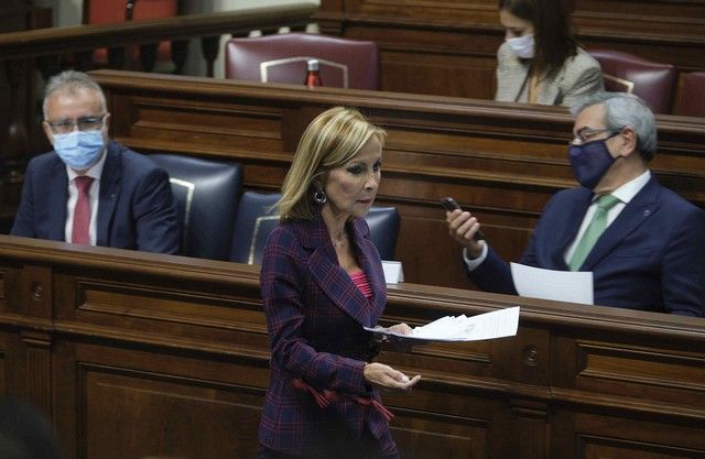 Pleno del Parlamento de Canarias, 24.11.2021