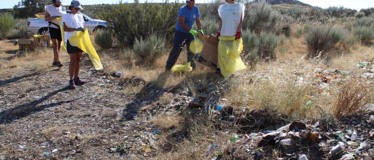 Varios momentos del trabajo de recogida de basuras llevado a cabo por voluntarios en Puebla de Sanabria | Araceli Saavedra