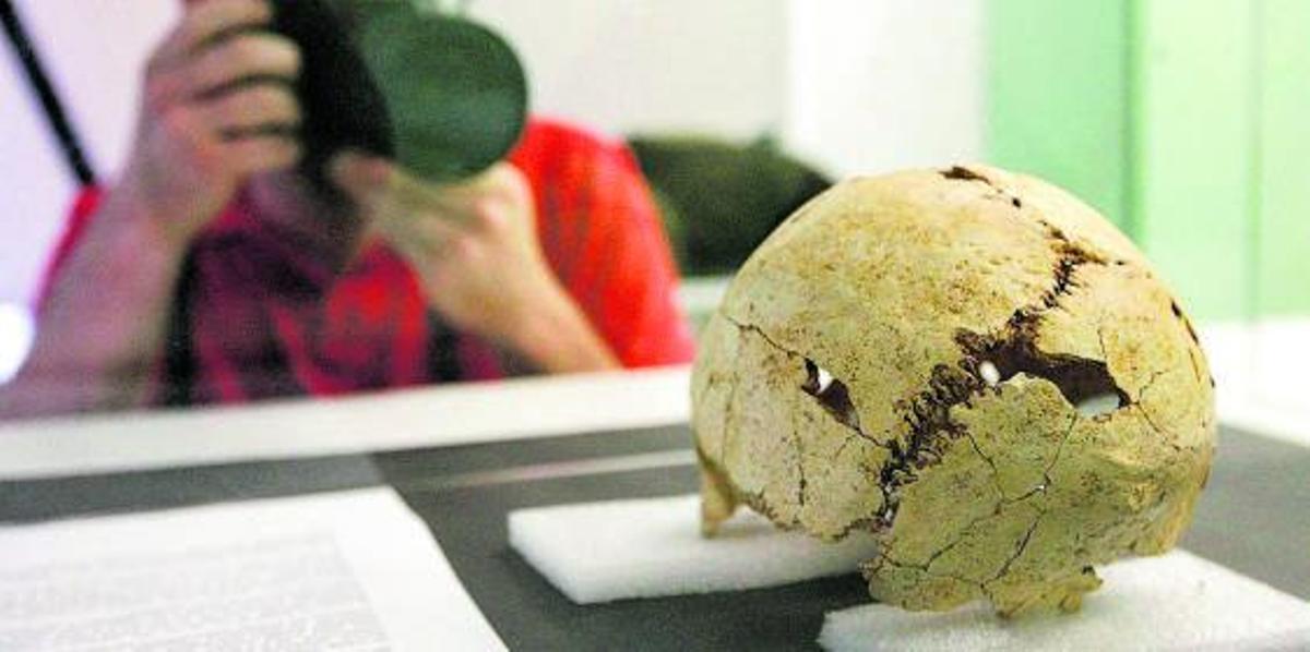 El crani trobat al jaciment, la resta d’un humà modern més antiga de Catalunya. | DDG