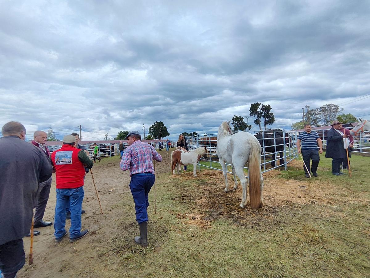 La feria de San Isidro, en imágenes
