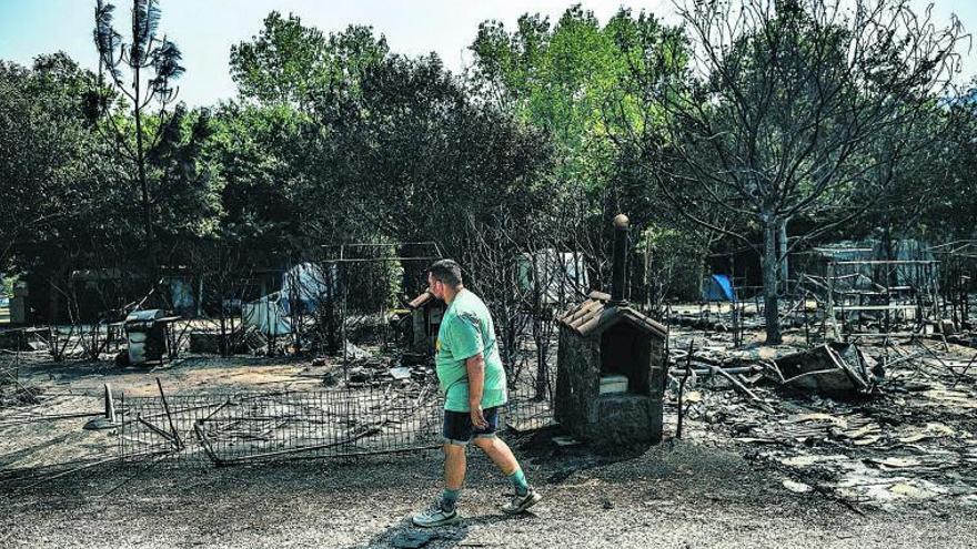 Un hombre pasea por las instalaciones del
cámping Arosa 2 de Ribeira, calcinado por
un fuego originado en Boiro.   | // ÓSCAR CORRAL/EFE