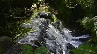 Augas de Galicia acometerá a limpeza no cauce do río Artes ó longo de catro quilómetros