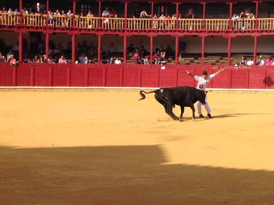 Fiestas Toro- concurso de jóvenes cortadores