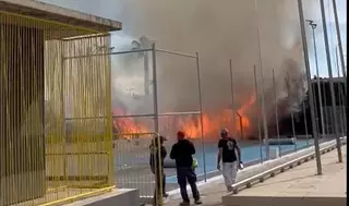 Extinguen el incendio de cipreses en las instalaciones deportivas de la Universidad de Alicante