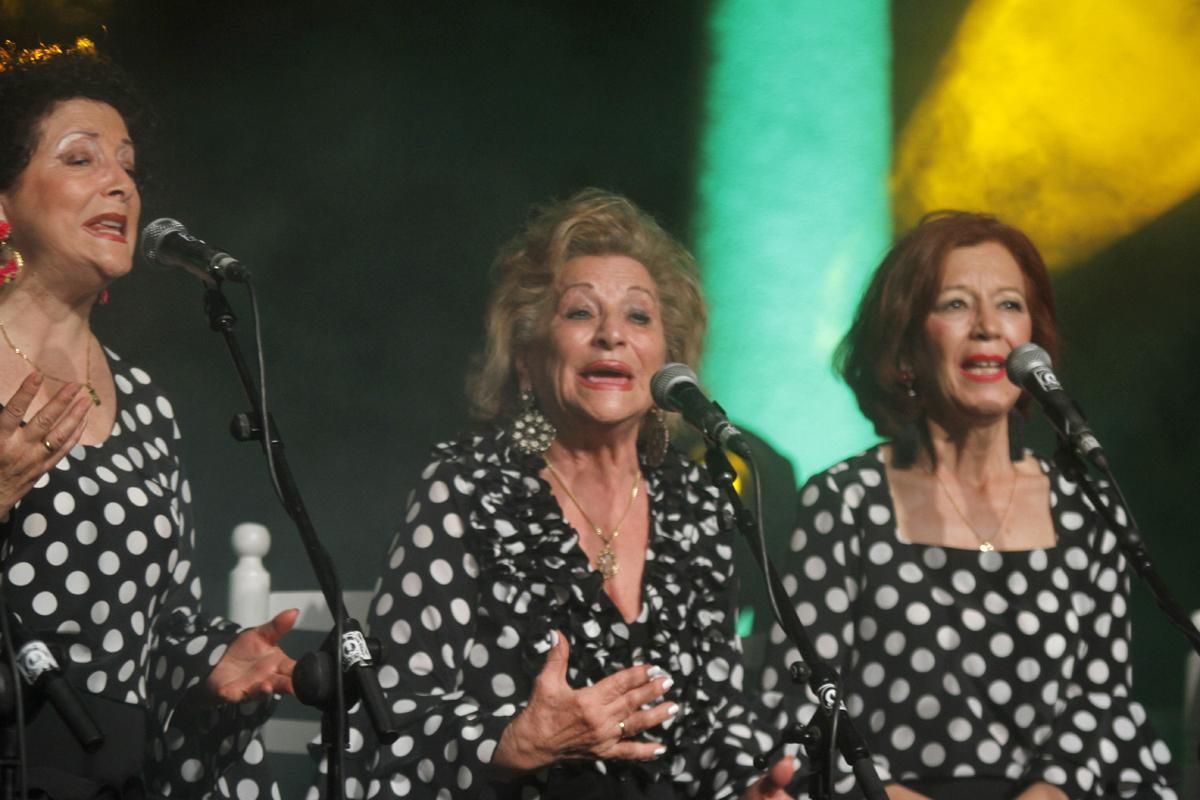 FOTOGALERIA / Las mejores imágenes de la Noche Blanca del Flamenco