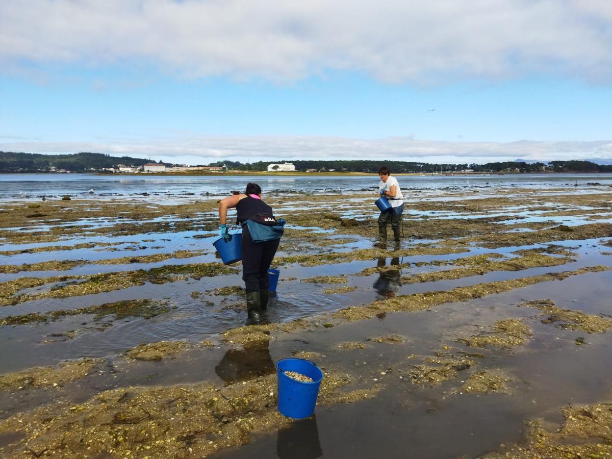 Una de las zonas sembradas esta mañana, aprovechando las importantes secas.
